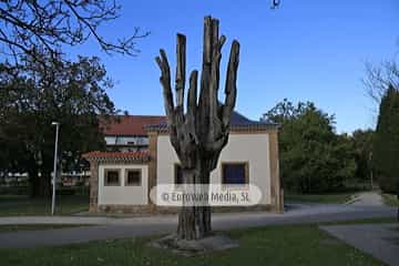 Escultura «Tejo herido» en Avilés