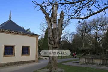 Escultura «Tejo herido» en Avilés
