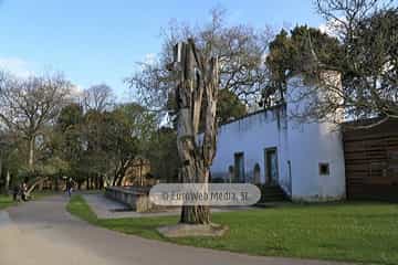 Escultura «Tejo herido» en Avilés