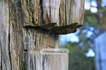 Escultura «Tejo herido» en Avilés