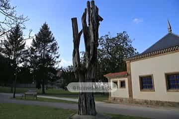 Escultura «Tejo herido» en Avilés