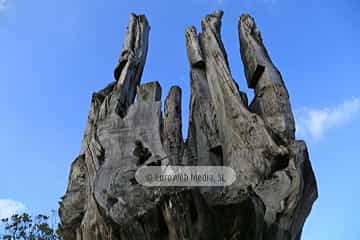 Escultura «Tejo herido» en Avilés