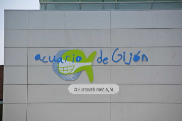 Inauguración del Acuario de Gijón