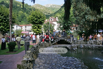 Fiesta de la Alzada Vaqueira en Belmonte de Miranda