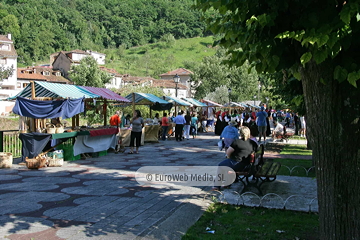 Fiesta de la Alzada Vaqueira en Belmonte de Miranda