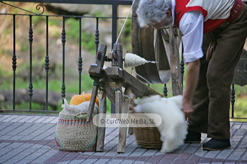 Fiesta de la Alzada Vaqueira en Belmonte de Miranda