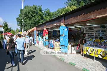 «Fidma» Feria Internacional de Muestras de Asturias