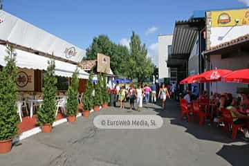 «Fidma» Feria Internacional de Muestras de Asturias