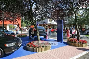 «Fidma» Feria Internacional de Muestras de Asturias