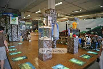 «Fidma» Feria Internacional de Muestras de Asturias