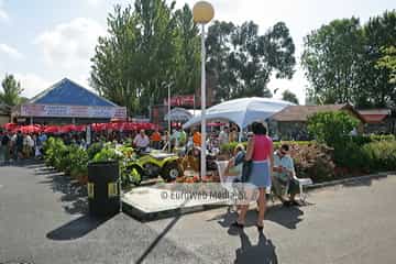 «Fidma» Feria Internacional de Muestras de Asturias