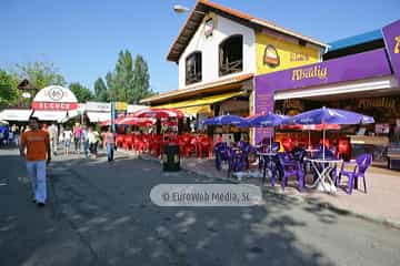 «Fidma» Feria Internacional de Muestras de Asturias