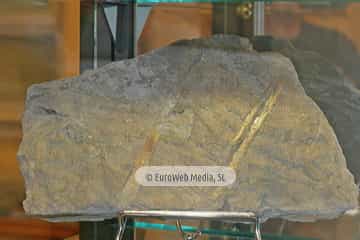 Museo de Geología de la Universidad de Oviedo