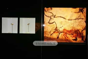 Parque de la Prehistoria de Teverga
