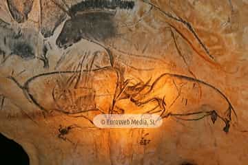 Parque de la Prehistoria de Teverga