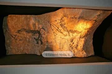 Parque de la Prehistoria de Teverga