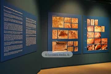 Parque de la Prehistoria de Teverga