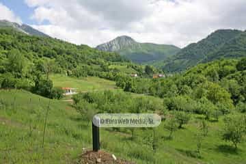 Parque de la Prehistoria de Teverga