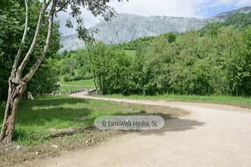 Parque de la Prehistoria de Teverga