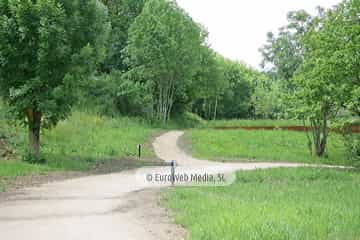 Parque de la Prehistoria de Teverga