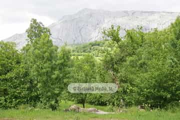 Parque de la Prehistoria de Teverga