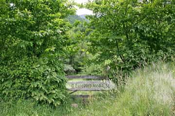 Parque de la Prehistoria de Teverga