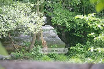 Parque de la Prehistoria de Teverga
