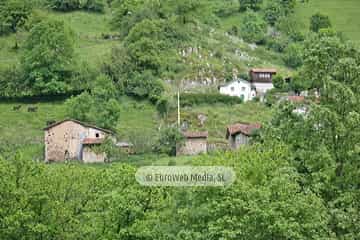 Parque de la Prehistoria de Teverga