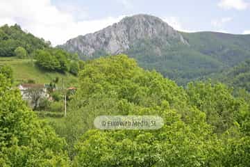 Parque de la Prehistoria de Teverga