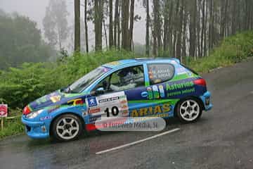 Rally de Avilés 2007. Rallye de Avilés 2007
