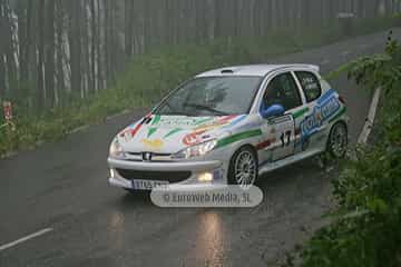 Rally de Avilés 2007. Rallye de Avilés 2007