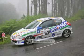 Rally de Avilés 2007. Rallye de Avilés 2007