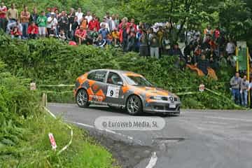 Rally de Avilés 2007. Rallye de Avilés 2007