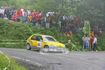 Rally de Avilés 2007. Rallye de Avilés 2007