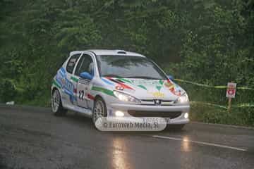 Rally de Avilés 2007. Rallye de Avilés 2007