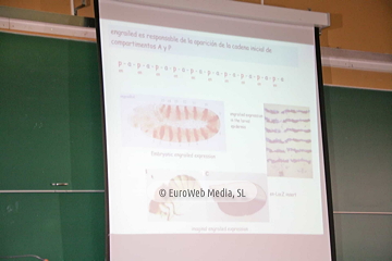 Peter Lawrence y Ginés Morata, Premio Príncipe de Asturias de Investigación Científica y Técnica 2007