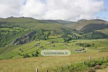 Braña de El Campel