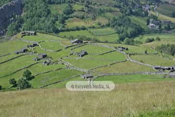 Braña de El Campel