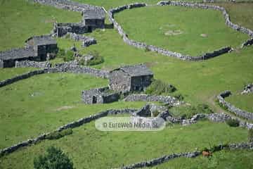 Braña de El Campel