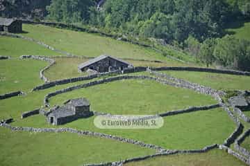 Braña de El Campel