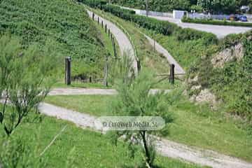 Sendero litoral de la costa este de Gijón