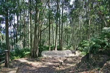Sendero litoral de la costa este de Gijón