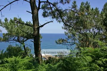 Sendero litoral de la costa este de Gijón