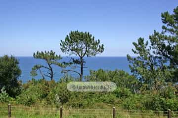 Sendero litoral de la costa este de Gijón