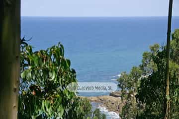 Sendero litoral de la costa este de Gijón