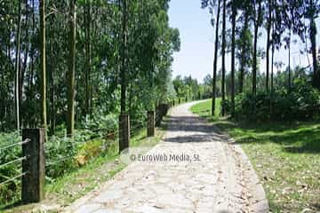 Sendero litoral de la costa este de Gijón