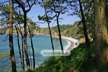 Playa de Cartavio