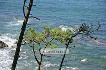 Playa de Cartavio