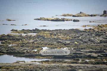 Playa de Viodo