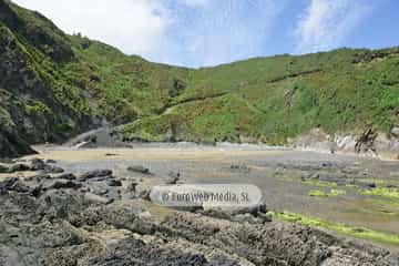 Playa de Viodo